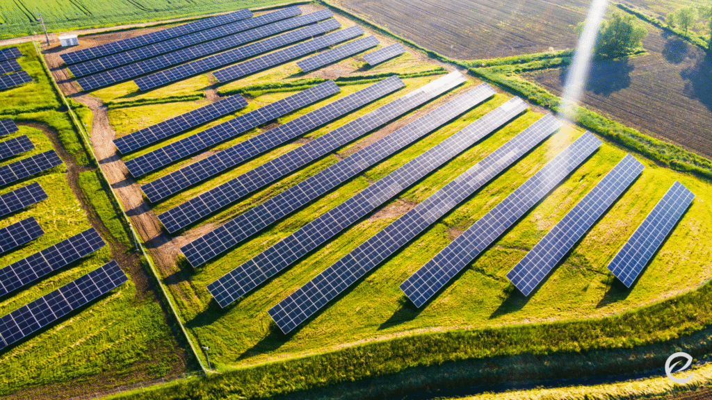 Ανώνυμο σχέδιο (30)